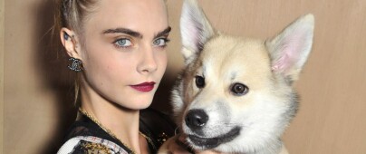 Halsbånd får dyreelskere til å rase mot Cara Delevingne